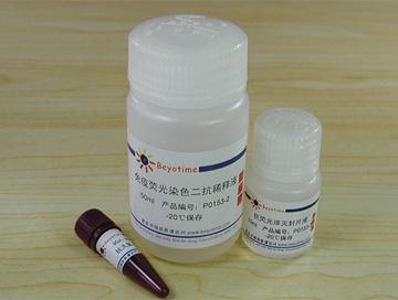 免疫荧光染色试剂盒-抗大鼠Cy3